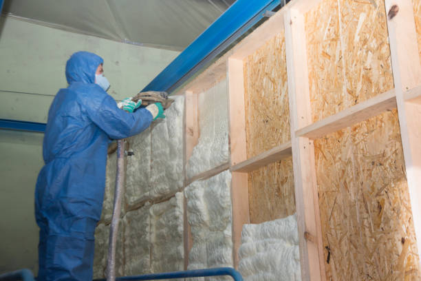 Best Insulation Removal Services  in Atlantic Highlands, NJ