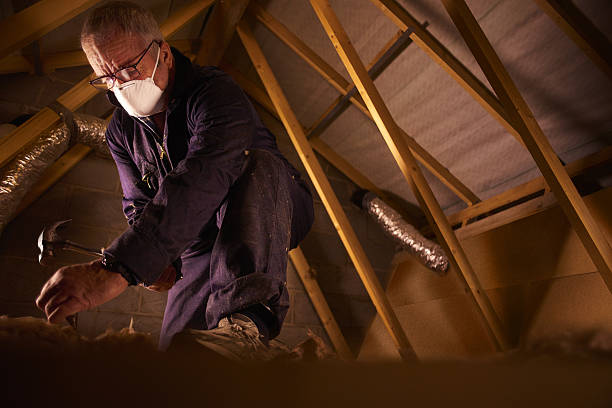 Best Insulation Removal  in Atlantic Highlands, NJ